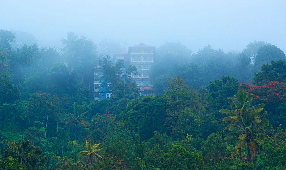 spicecountry-munnar